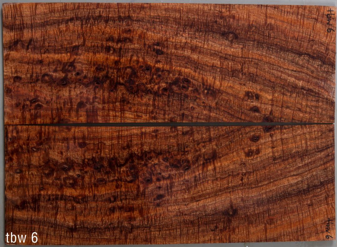 Tasmanian Blackwood Decke 'TBW6' Book-Matched